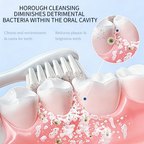 PNEX Probiotic Whitening Toothpaste: Yellow Stain Remover, Enamel Care, Long-Lasting Fresh Breath